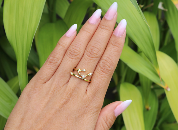 CONSTELLATION ZODIAC RING